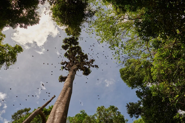 LV Regeneration 2030