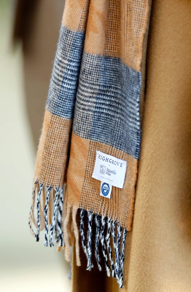 Το κασκόλ της πριγκίπισσας Άννα