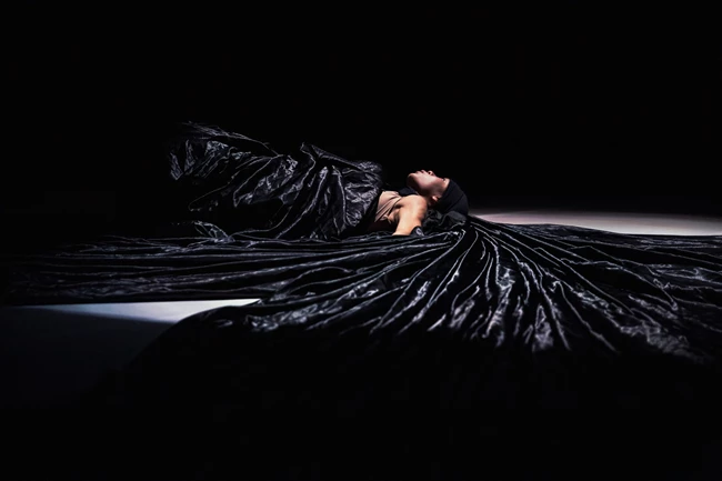 VULTURE_Ching-Ying Chien