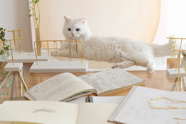 Μαργαρίτα Χρυσάκη