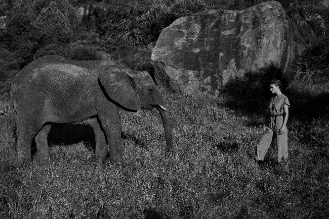 Walk For Giants |  Η capsule συλλογή που βάζει σκοπό να σώσει τους ελέφαντες