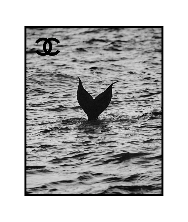 chanel_teaser Cruise 2026/2027