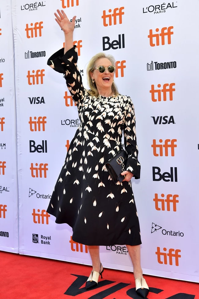 Celebrities Meryl Strip