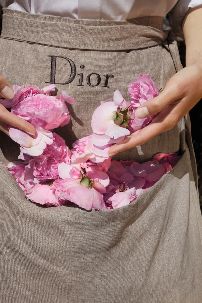 Parfums Christian Dior