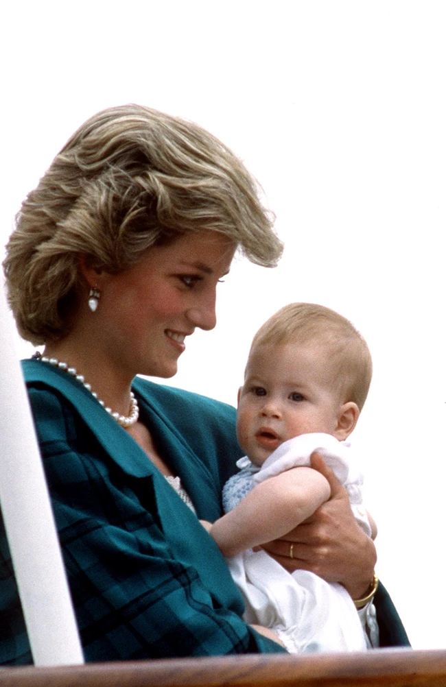 celebrities_princess diana prince harry
