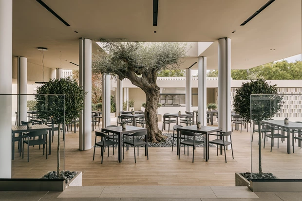 Το Meltemi δίπλα στην πισίνα του Divani Apollon Palace & Thalasso