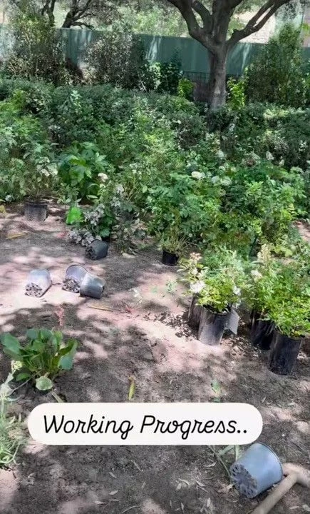 κήπος alejandra silva