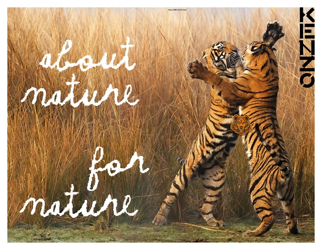 Kenzo | Η capsule συλλογή που αφιερώνει στην προστασία της άγριας τίγρης