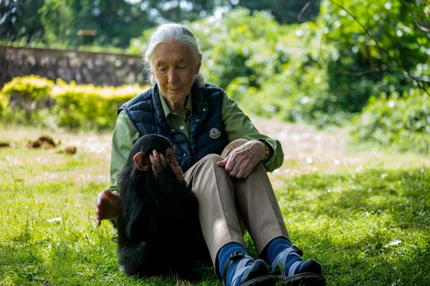 Harry & Meghan | Η συγκινητική ανάμνηση με τον Archie για τη Jane Goodall