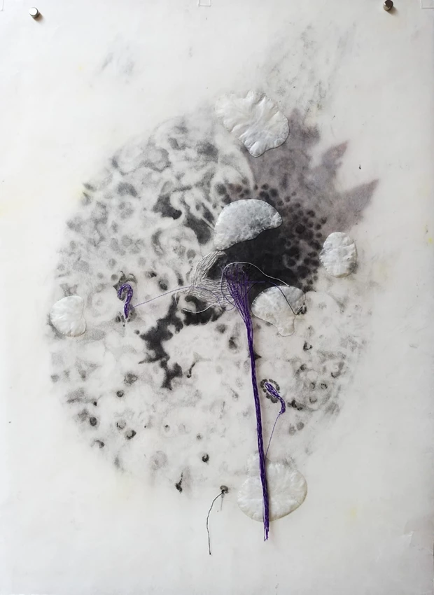 Setsuko Fukushima, New Phytography, 2023, Assemblage with paper, wax, graphite and thread