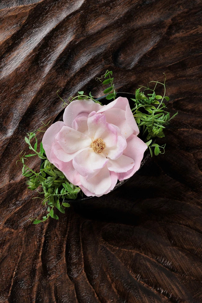 To εστιατόριο Delta παρουσιάζει το νέο μενού του