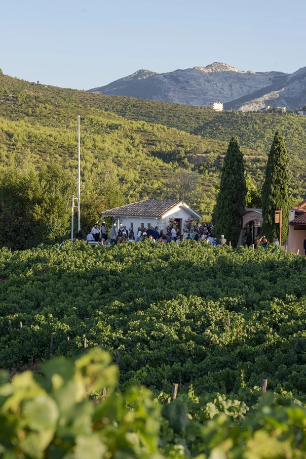 Κτήμα Κοκοτού