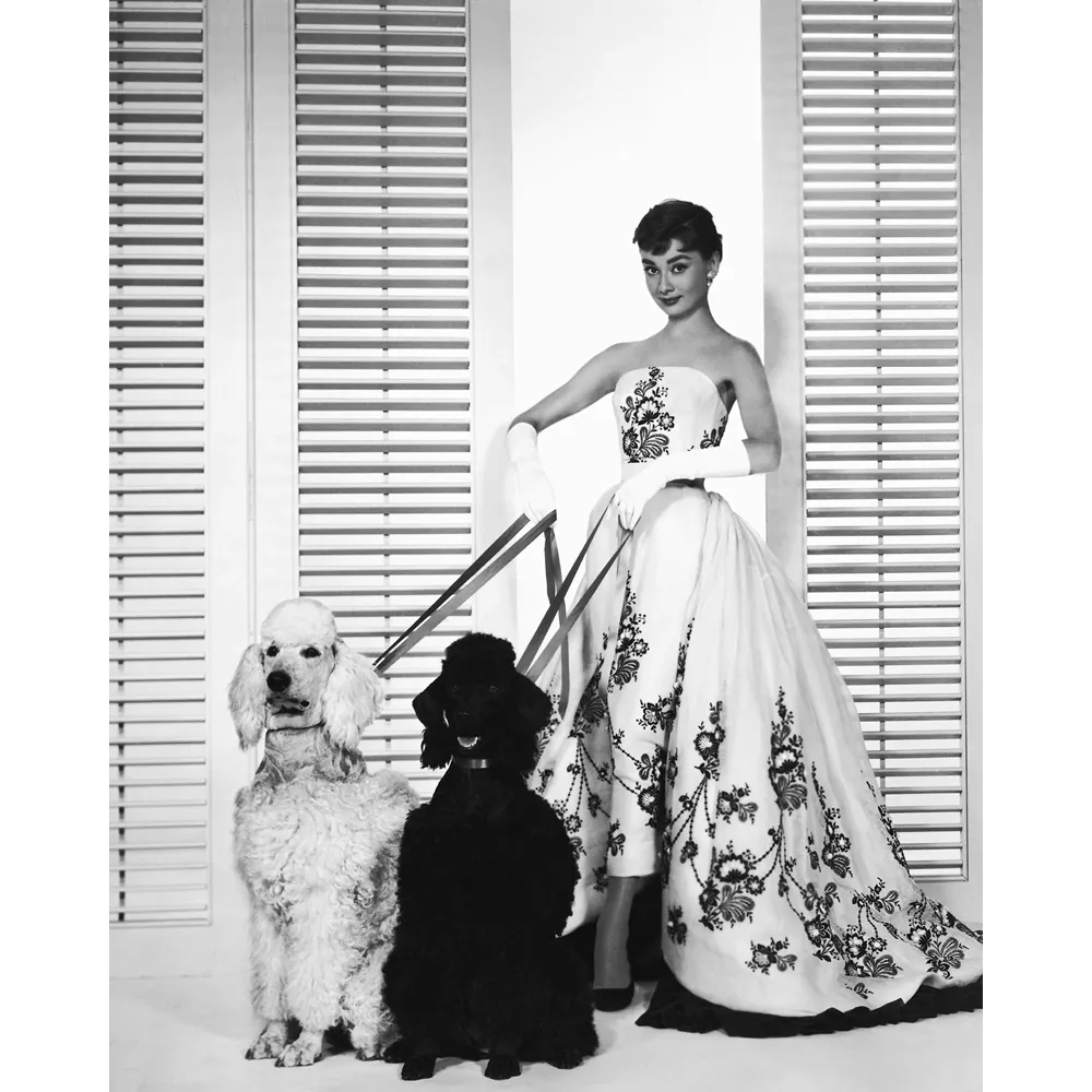 Sabrina 1954
