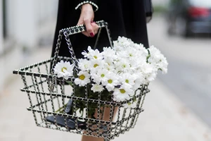 Το αγαπημένο άρωμα της Carine Roitfeld είναι ένα κασμιρένιο όνειρο