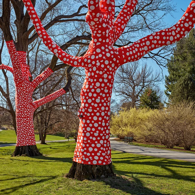 Yayoi Kusama Polka Dots