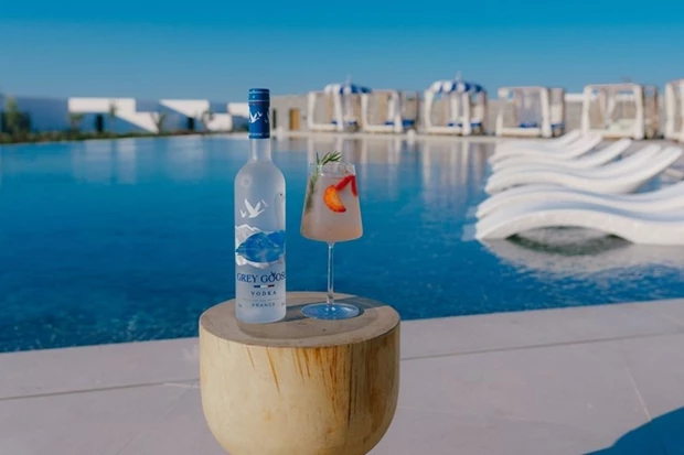 Grey Goose 3