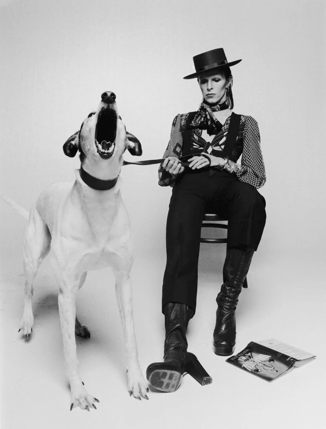 David Bowie