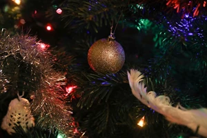 Αστόλιστο χριστιουγεννιάτικο δέντρο; H ξεχασμένη τάση από τη δεκαετία του 1950 επιστρέφει το 2025 και διχάζει