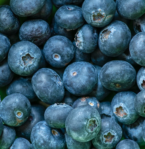 blueberries