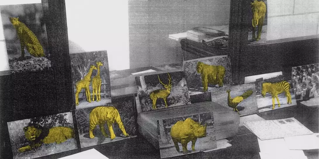 ΕΜΣΤ | Ένας νέος κύκλος εκθέσεων που εστιάζει στη σχέση μας με τα ζώα