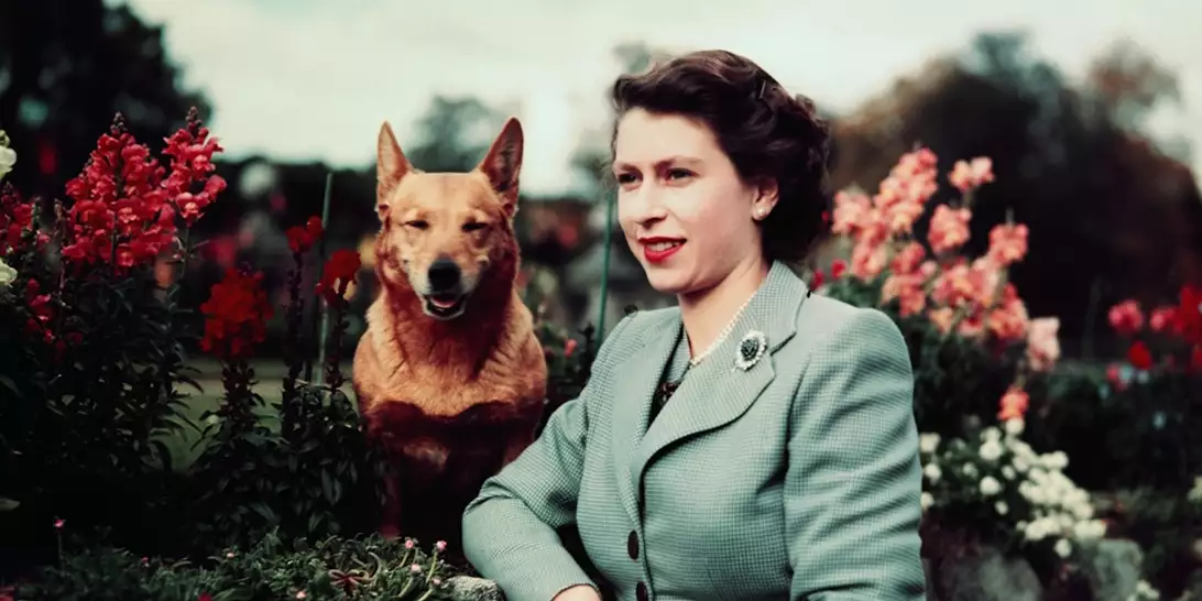 Ποιος φροντίζει τον Muick και τη Sandy, τα περίφημα κόργκι της Ελισάβετ μετά τον θάνατό της;