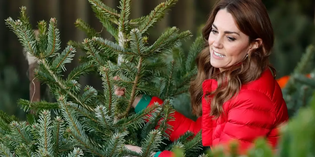 "Κακή τύχη για όλο το χρόνο": Γιατί δεν πρέπει να ξεστολίζουμε το χριστουγεννιάτικο δέντρο μετά από αυτήν την ημερομηνία;