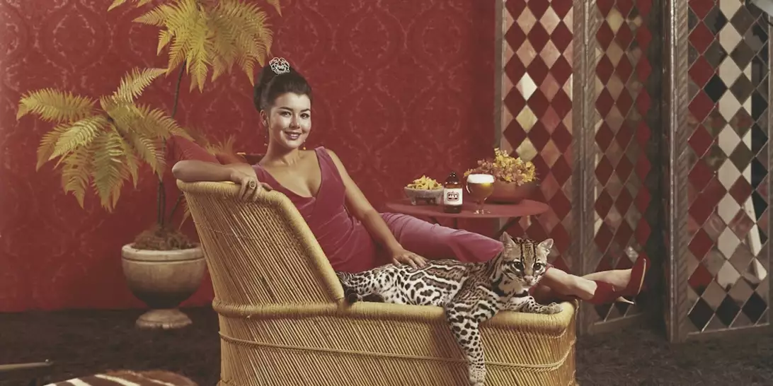 "Μαγνήτης χρημάτων": Aυτό το φυτό πρέπει να αποκτήσετε τον Ιανουάριο για να προσελκύσετε πλούτο στο σπίτι σας το 2026