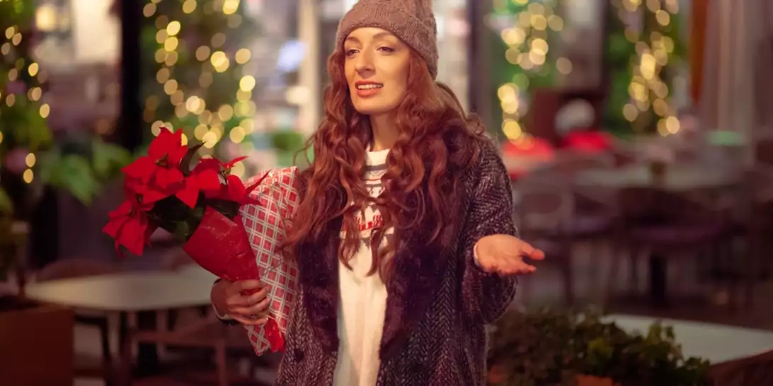 Χριστούγεννα 2025 | Πώς να διατηρήσετε το αλεξανδρινό σας όμορφο όλο το χρόνο