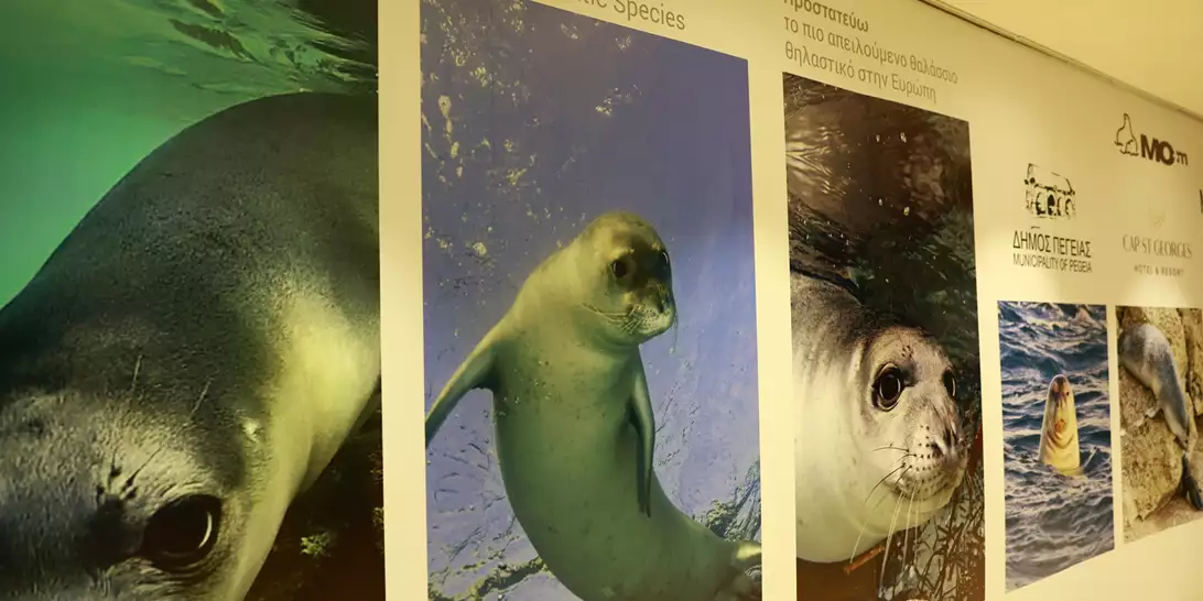 Ημερίδα με θέμα: "Μεσογειακή Φώκια. Ένα εμβληματικό είδος της Μεσογείου – Παρελθόν, Παρόν και Μέλλον"