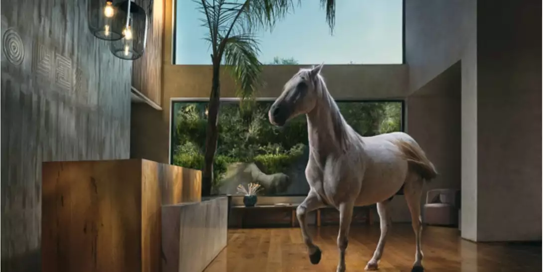 Olea Creative Residency | Όταν η τέχνη συναντά την ευδαιμονία της σωστής φιλοξενίας