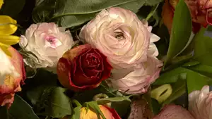 Art Club | Οι νέες εκθέσεις και εικαστικά projects της εβδομάδας