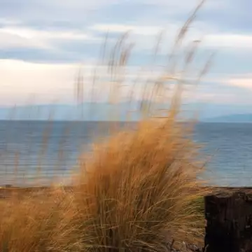 Η Λυρική στη Βόρεια Εύβοια με ένα τριήμερο εκδηλώσεων