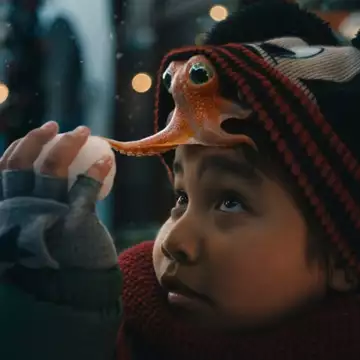 Το Αγόρι & Το Χταπόδι | O Taika Waititi σκηνοθετεί την εορταστική ταινία μικρού μήκους της Disney