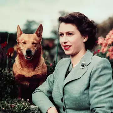 Ποιος φροντίζει τον Muick και τη Sandy, τα περίφημα κόργκι της Ελισάβετ μετά τον θάνατό της;