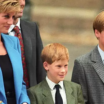 Η πριγκίπισσα Diana θα ανησυχούσε για αυτό που συμβαίνει ανάμεσα στον William και τον Harry