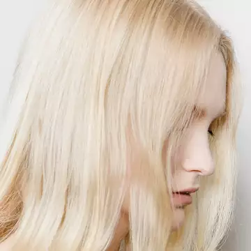 Πώς να απαλλαγείτε από την τριχόπτωση και να αποκτήσετε πλούσια μαλλιά