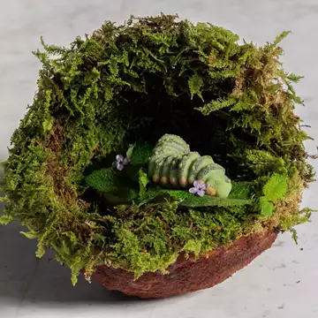 To εστιατόριο Delta παρουσιάζει το νέο μενού του