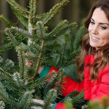 "Κακή τύχη για όλο το χρόνο": Γιατί δεν πρέπει να ξεστολίζουμε το χριστουγεννιάτικο δέντρο μετά από αυτήν την ημερομηνία;