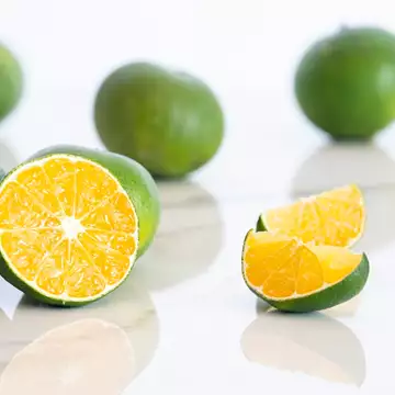 Natural Botox | Οι τροφές που αυξάνουν το κολλαγόνο