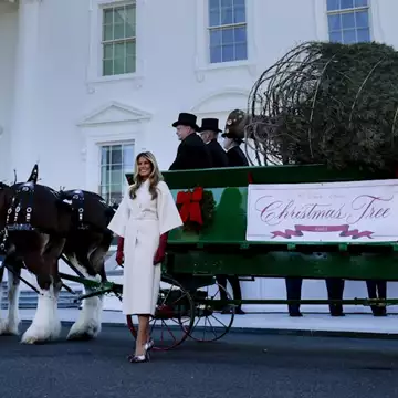 Η Melania Trump έφερε τα Χριστούγεννα στον Λευκό Οίκο με κομψό παλτό Dior και καρό γόβες