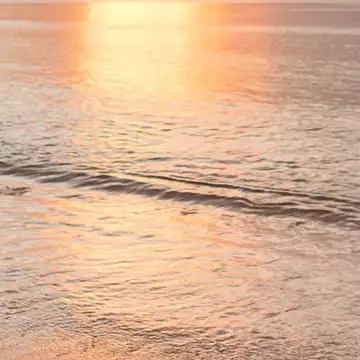 Θαλασσινή Αύρα | Τα ιδανικά αρώματα για τώρα το καλοκαίρι