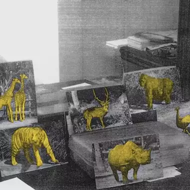 ΕΜΣΤ | Ένας νέος κύκλος εκθέσεων που εστιάζει στη σχέση μας με τα ζώα