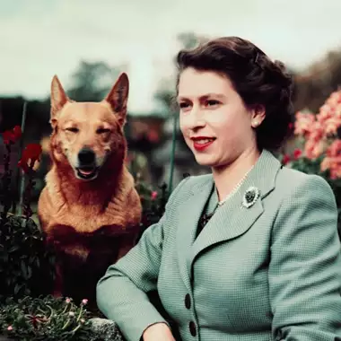 Ποιος φροντίζει τον Muick και τη Sandy, τα περίφημα κόργκι της Ελισάβετ μετά τον θάνατό της;