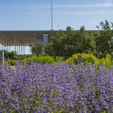 Πρωτομαγιά στο Πάρκο Σταύρος Νιάρχος με συναυλία και ανοιξιάτικες δραστηριότητες