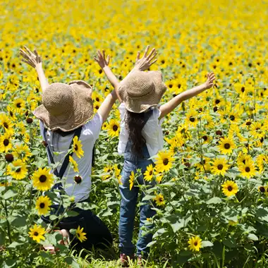 Aσφαλιστική κάλυψη και έκπτωση στα ασφάλιστρα ταυτόχρονα | Πρόγραμμα συνδυαστικών εκπτώσεων EurolifeSYN+