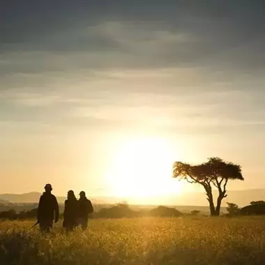 Η σεφ που μας προσκαλεί για μαγειρική στην… άγρια φύση
