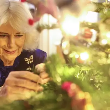 Βασίλισσα Καμίλα | Το βελούδινο γιορτινό φόρεμά της είχε μια σημαντική λεπτομέρεια