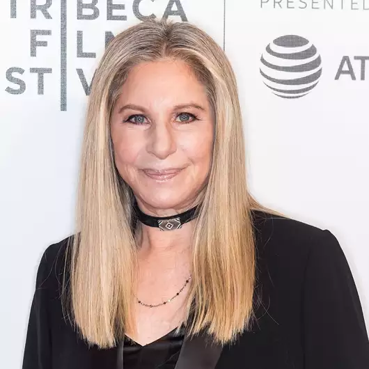 Barbra Streisand | "Πενθεί" για τον δικό της Klimt λίγες μέρες μετά την πώληση του "Πορτρέτου της Elisabeth Lederer" έναντι αστρονομικού ποσού