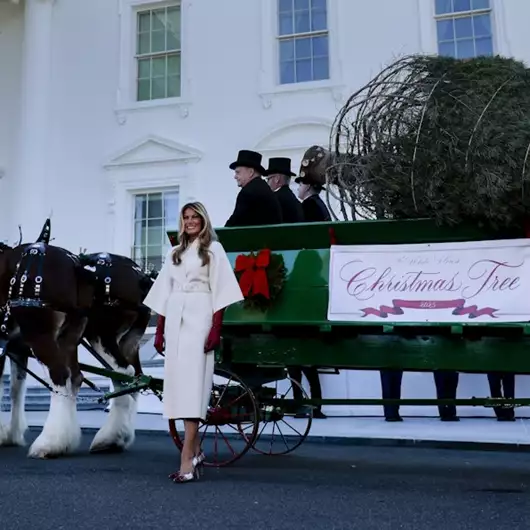 Η Melania Trump έφερε τα Χριστούγεννα στον Λευκό Οίκο με κομψό παλτό Dior και καρό γόβες